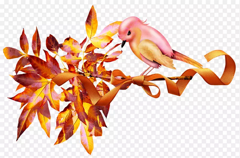 ����˽�-������