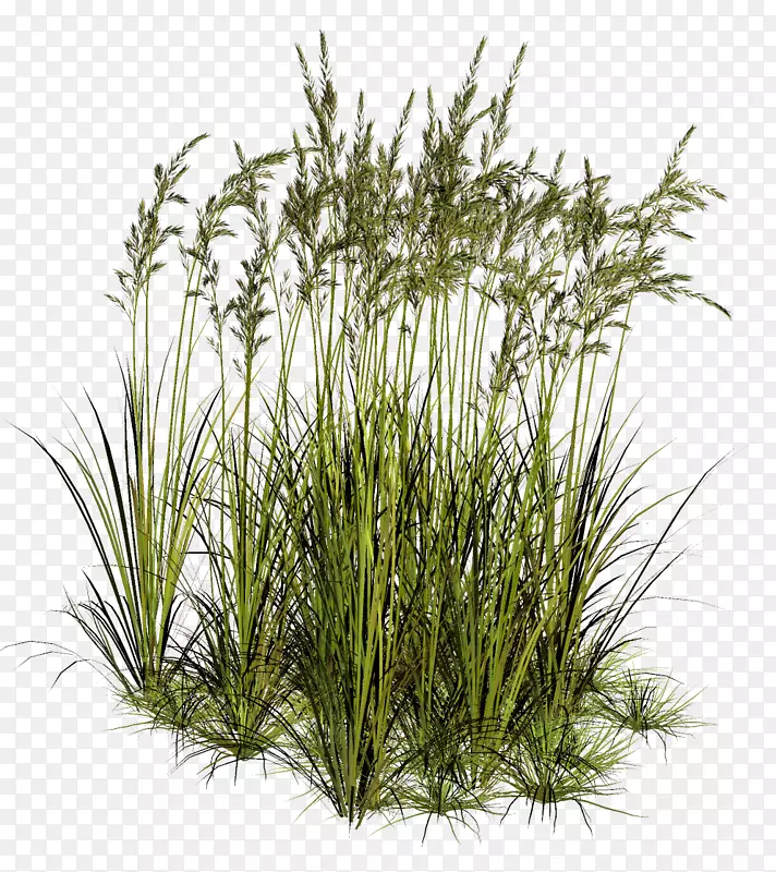 pngͼƬ��������psd adobe Photoshop��-������