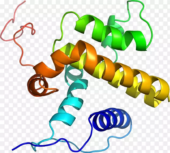 �������л����Ʒ�߶���.ԭ��ģ��ʱ����-������