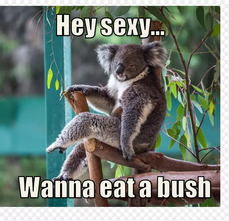 �����Ĵ������ܶ���ɰ�-����-������