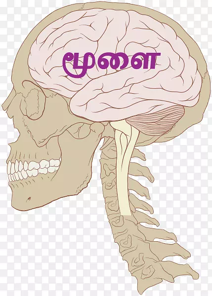 �������Թ��̴�����������������ϵͳ-����-������