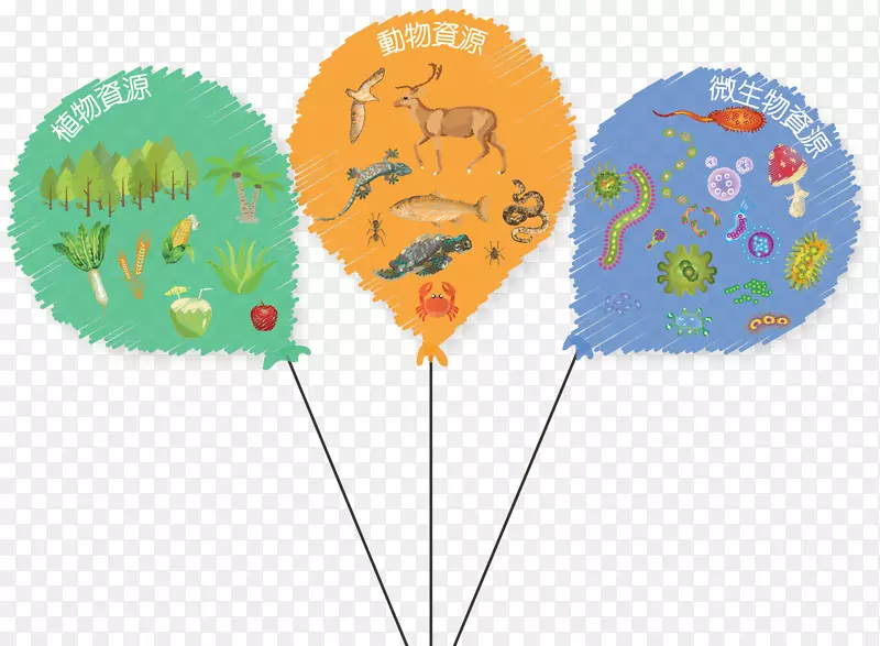 Ҷ����.��Ӧ��pe���-������