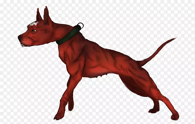 Ȯ�ֱ�Ȯ-������