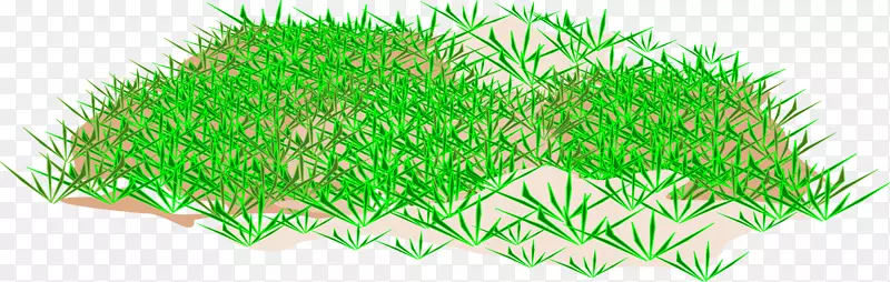 ������-��-������