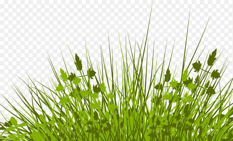 ��Ӱ-��Ѽ�����-��-������