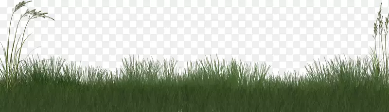 �����ֽ������.��-������