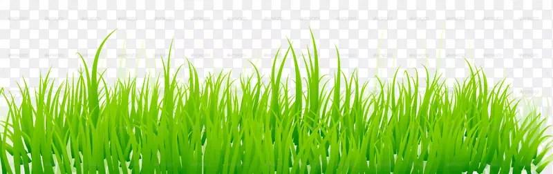 ��ƺ�̻�-�޲�-������