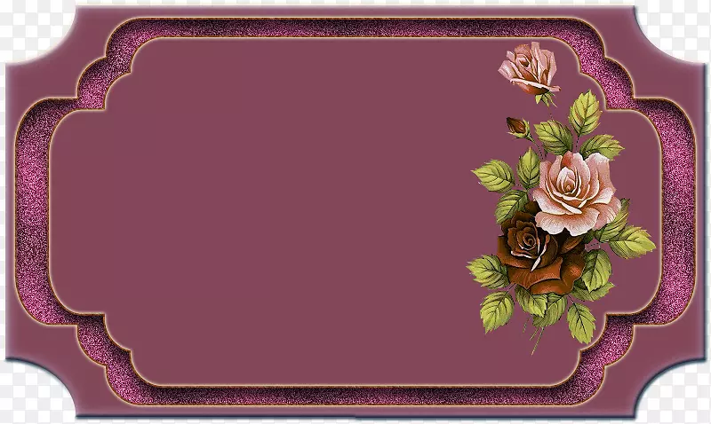 ���ֱ���ͼƬ���ǩ����-������