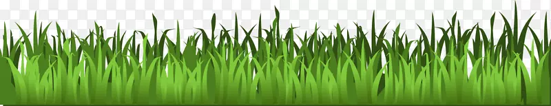 ��ƺ���ص���ͼ�������-��-������