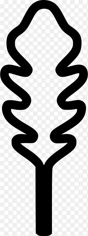 ������������ɫ����-arugula-������