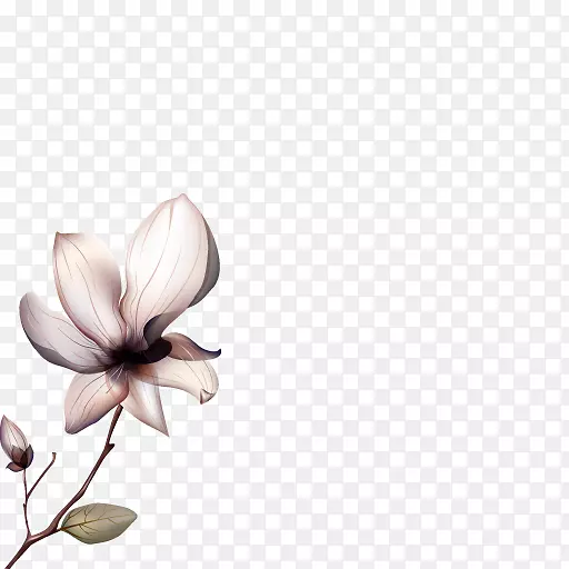 ������ͼ��廭��Ƭ-��-������