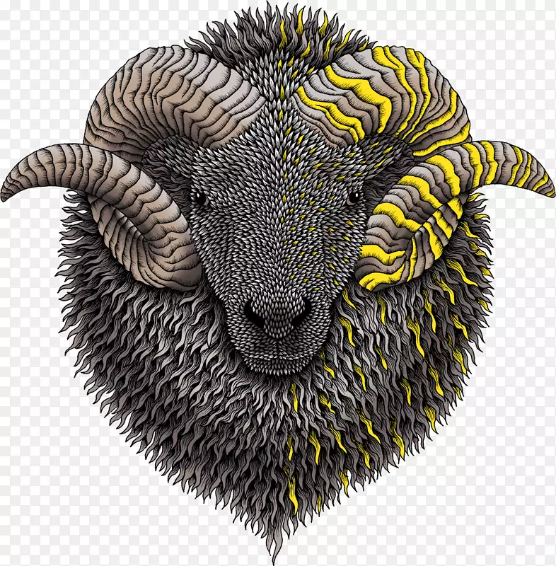 ��������½������.����-������