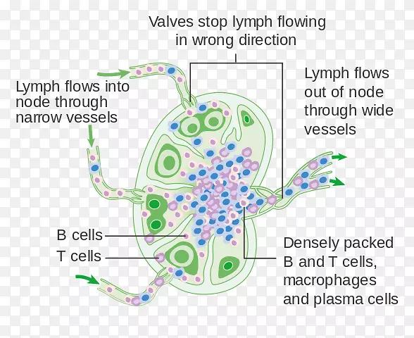 �ܰͽ������ܰ�ϵͳ-��ϸ��ϸ��-������