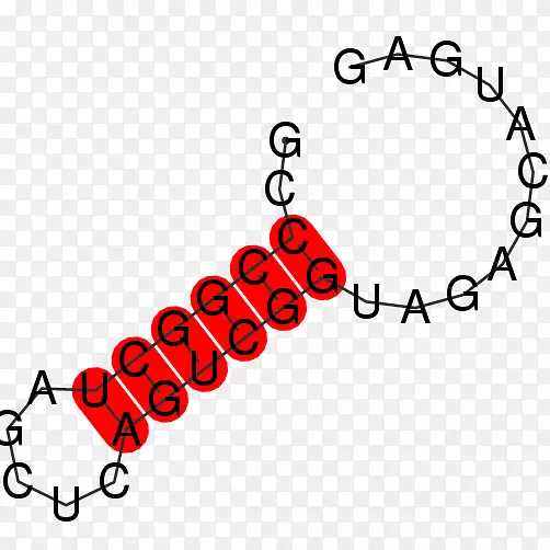 �������������������Լ�����-�����ѧ-������