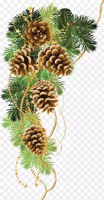 ����LiveInternetAlbom������-�ɹ�-������