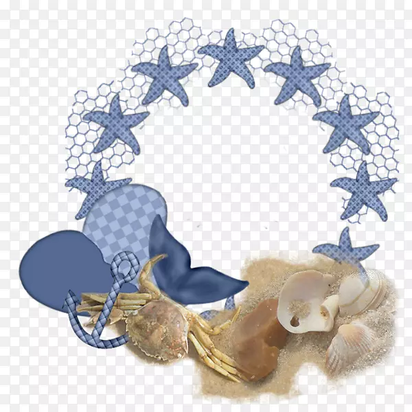 ͼ����������ʦ����ְҵ����ʦ��������-������-������