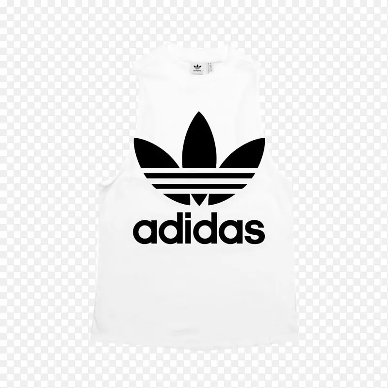 t�����ϴ�˹������Ҷt��-11-12 y��ɫ���ϴ�˹������־-t��-������