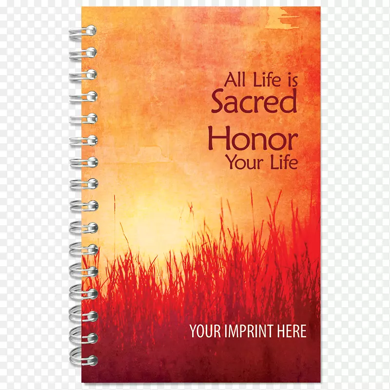 �������.����������ʶ��ɫ��-������