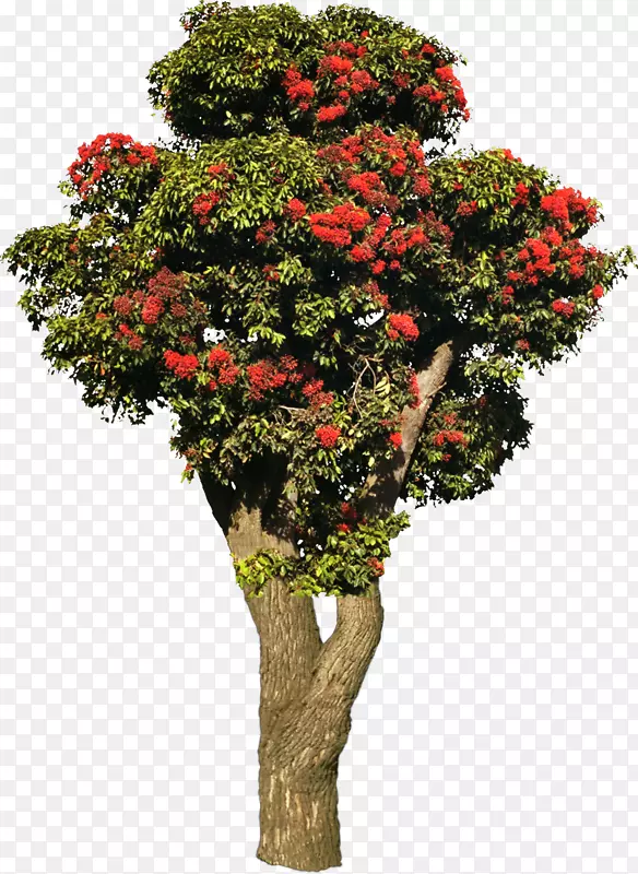 ��ľ����ֲ��ľ��-������