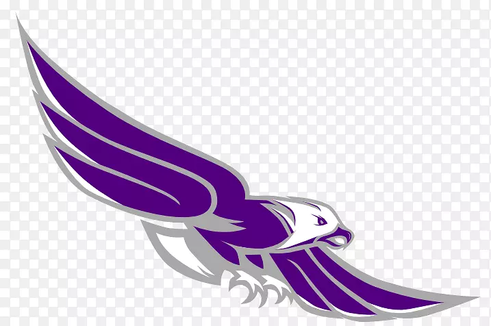 ��������Ʒ�����ɫ��-��ӥ��־-������