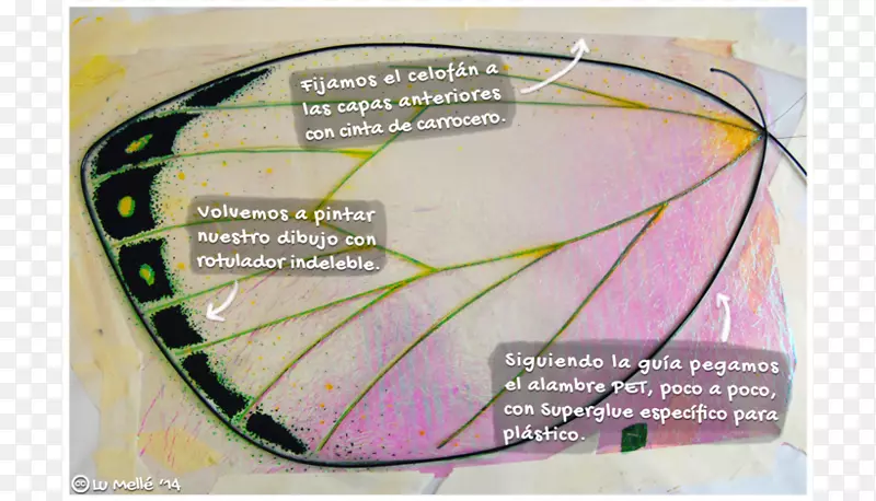 ��Ʒ�����ж���-Caro-������