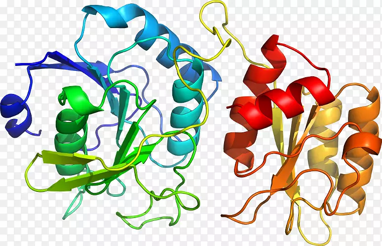 �������л���ֲ���߶���.ԭ��ģ��ʱ����-������