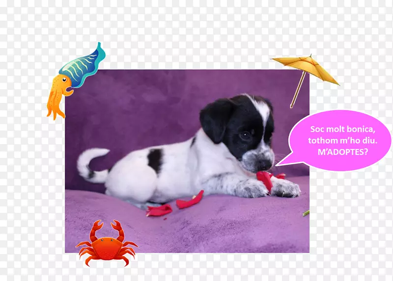 Ȯ��С��������-С��-������