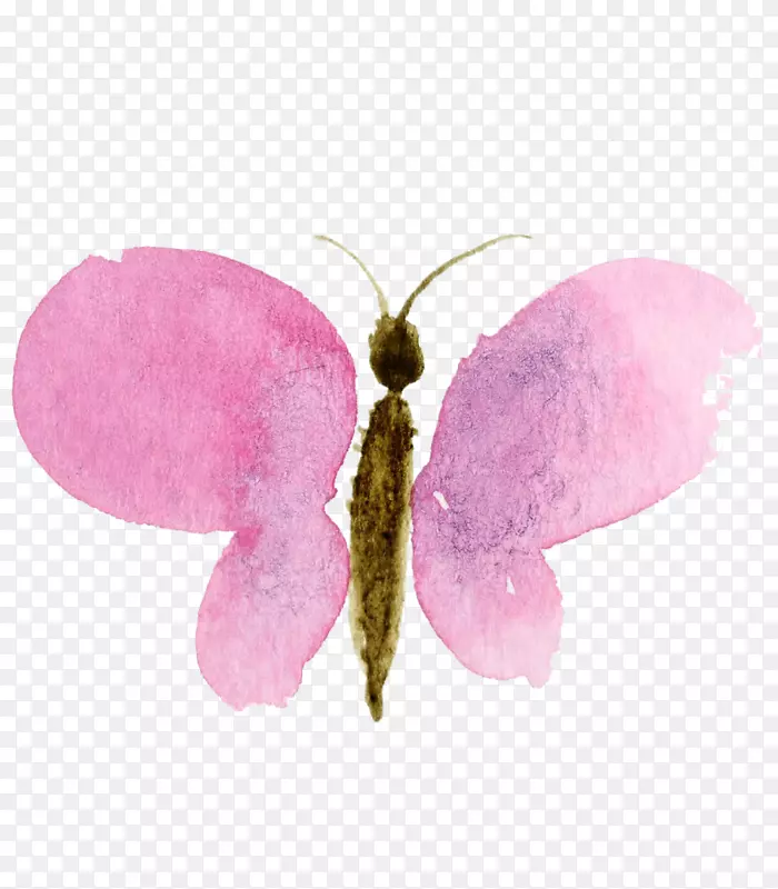 ����ˮ�ʻ���ˮ�ʻ���������ݮ-������