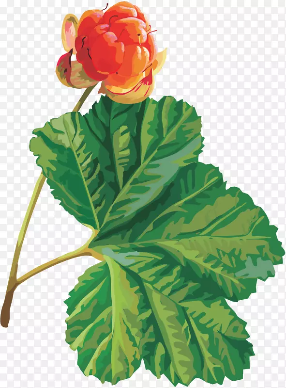 ������ӣ����-������