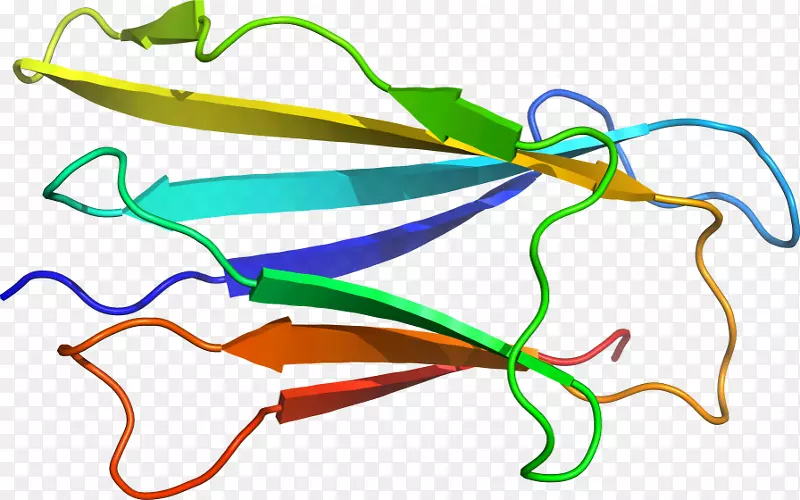 �������ߵ��Ʒֲ�ﾥ��-������