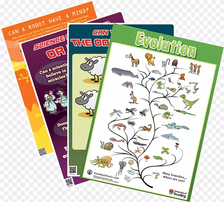 ֽ�����Ʒ����.������������-������