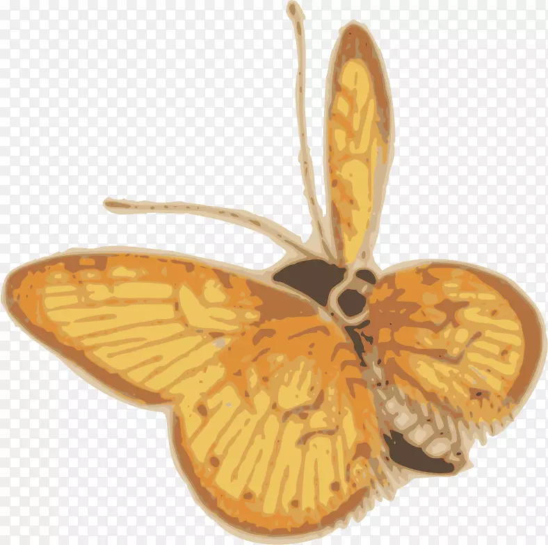 ����������2ɳԪ�Ⱦ������-������