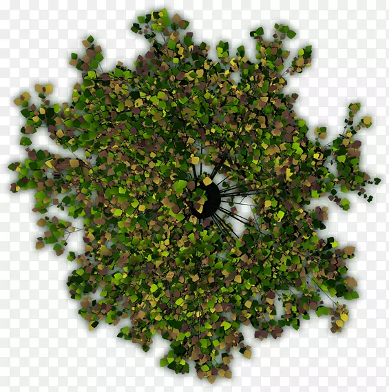 ��ľ��ľ��ͼ���Я����ͼadobe Photoshop����-������