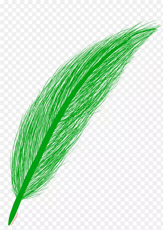 ��Ʒ-��ɫ��ë-������