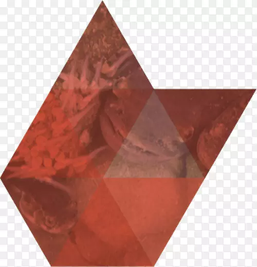 ����ĺ�ɫ��������ɫ&����-ʣ��-������