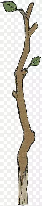 ��֦��������֦ľ֦-������