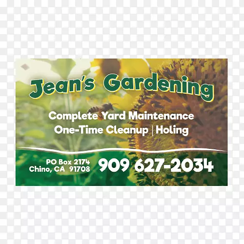 �������.��Ƭ�����-������