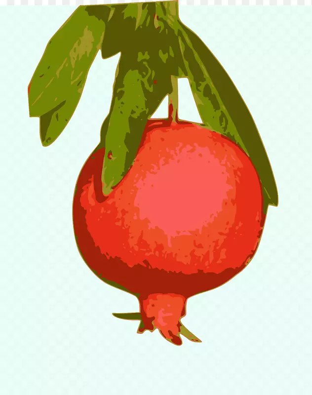 ʯ��֭�¸���˹ʳƷ-ʯ��-������