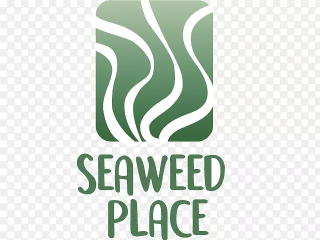 Ʒ�Ʊ�־��Ʒ�����������-ŵ�ﺣ��-������