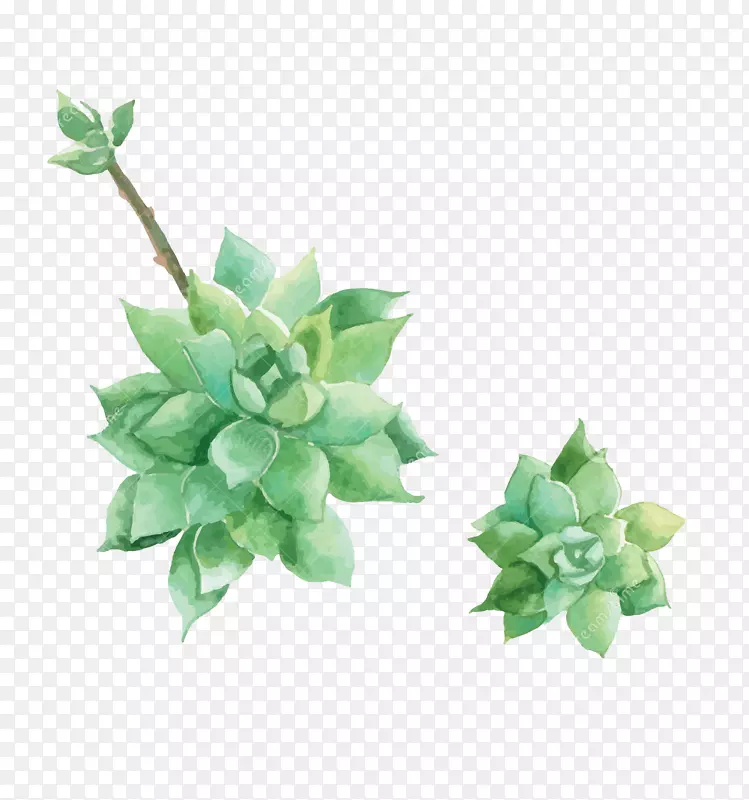 ˮ�ʻ��滭����������滭-������