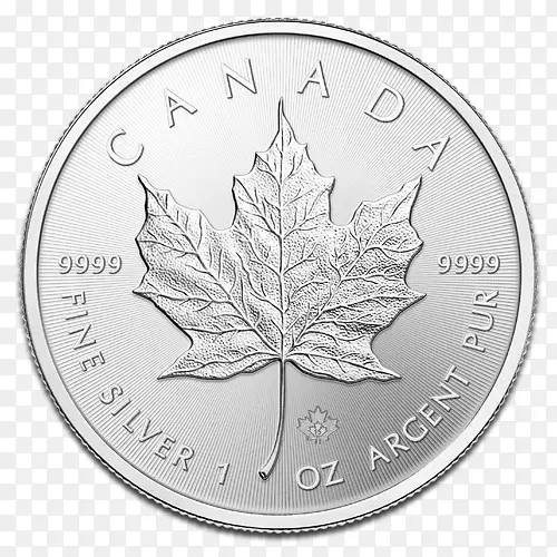 ���ô���Ҷ��������-������