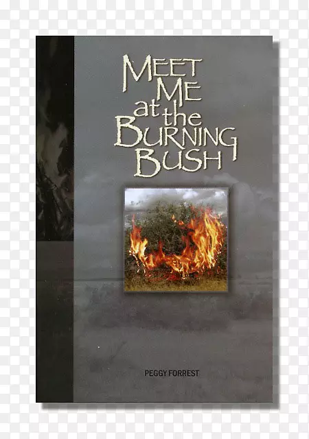 ��������-ȼ�յĹ�ľ��-������