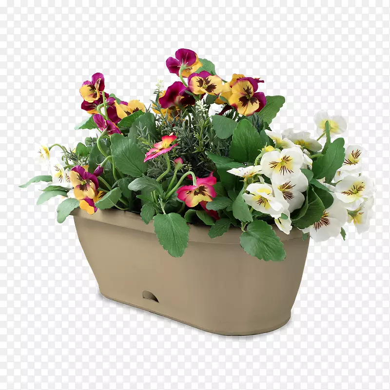 ������ƻ���ֲ�����-��ʳ����̨��԰-������