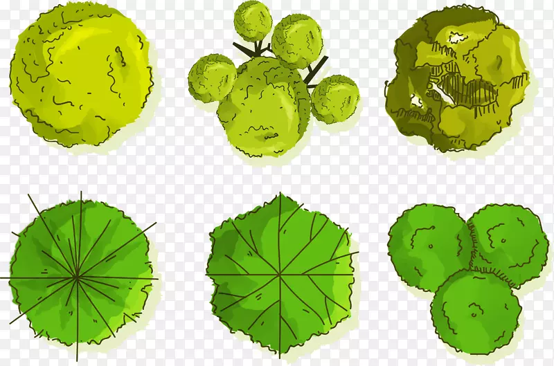 ����ľ-�����-������