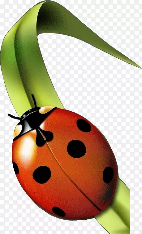 �����ߵ�ư������-������