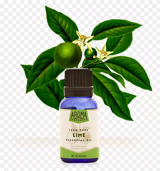 �㾫�ͳȷ��ָ���-������