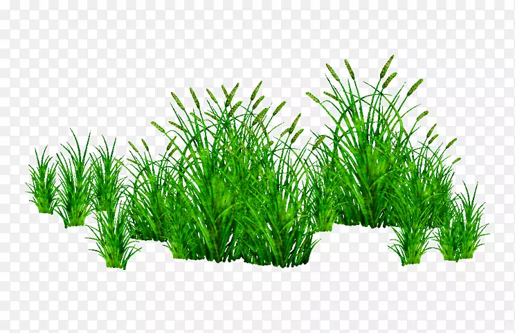 pngͼƬ�����ֽͼƬ�������ļ���ʽ-������