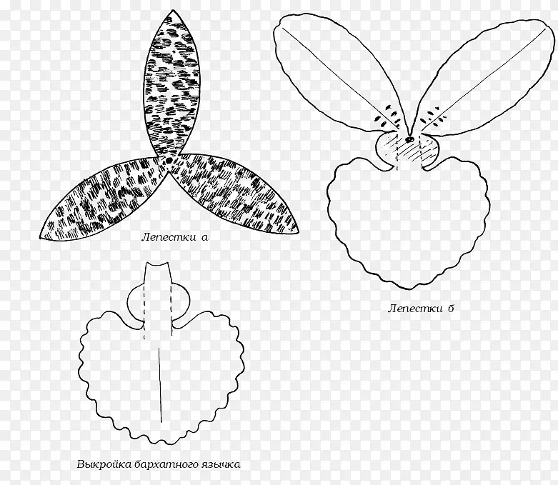 ֽ�ͻ�����֯�ﻨ�����-������