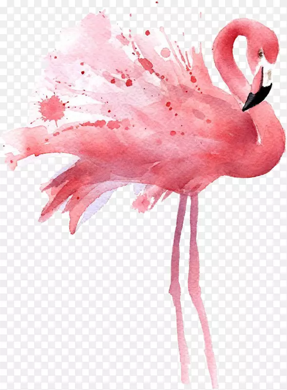 ˮ�ʻ�������������Ʒ������ˮ�ʻ�-������