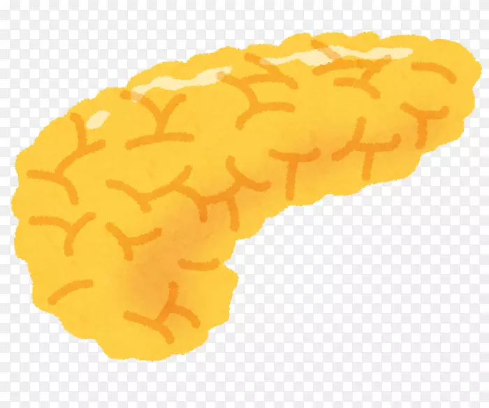 ���ٰ��ȵ�������Ѫ����-������